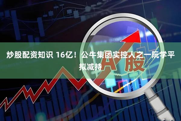 炒股配资知识 16亿!公牛集团实控人之一阮学平拟减持
