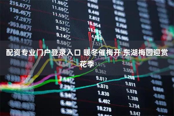 配资专业门户登录入口 暖冬催梅开 东湖梅园迎赏花季