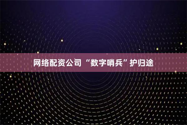 网络配资公司 “数字哨兵”护归途