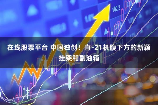 在线股票平台 中国独创！直-21机腹下方的新颖挂架和副油箱