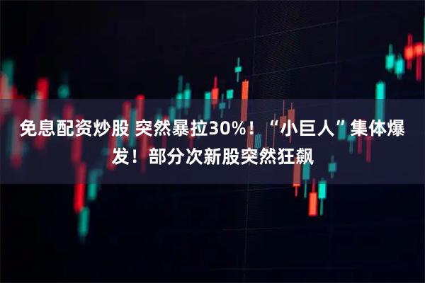 免息配资炒股 突然暴拉30%！“小巨人”集体爆发！部分次新股突然狂飙